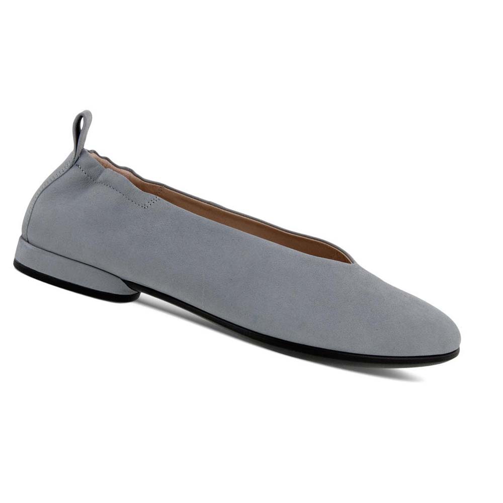 Women\'s Ecco Anine Flat Ballerina Ballet Flats Silver / Grey | Canada 4OKI